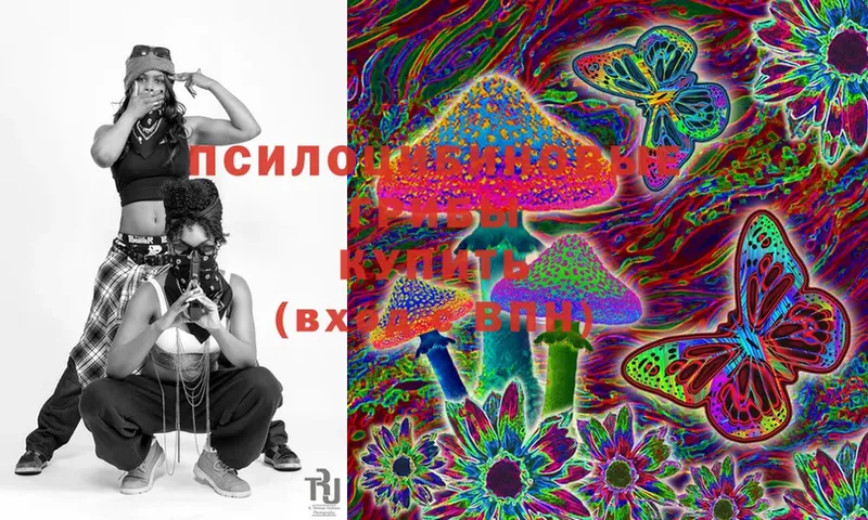 Галлюциногенные грибы Cubensis  Дмитриев 